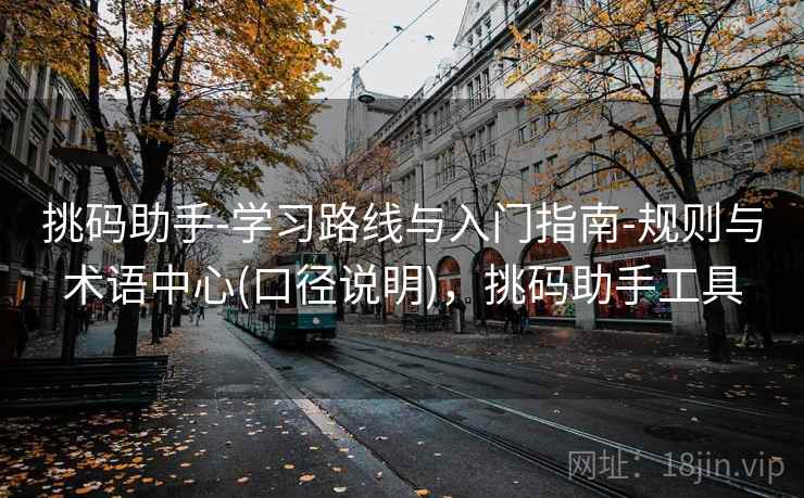 挑码助手-学习路线与入门指南-规则与术语中心(口径说明)，挑码助手工具